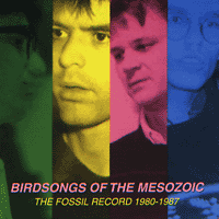 BIRDSONGS OF THE MESOZOIC The Fossil Record